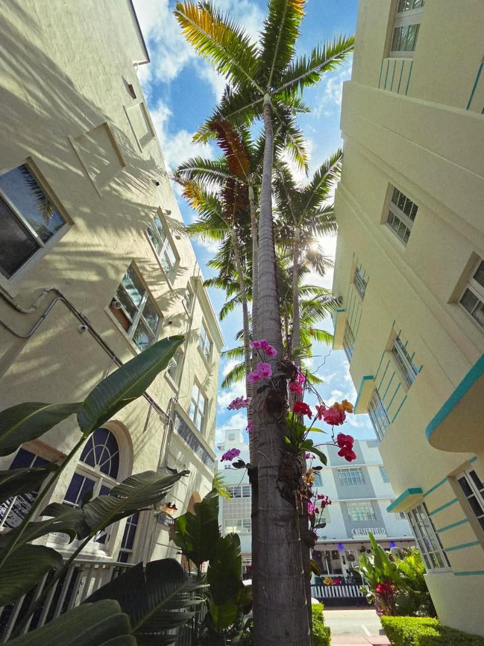 Luxuri Suites Miami Beach Exteriör bild